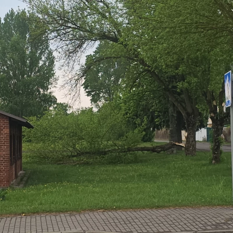 Последствия вчерашней бури