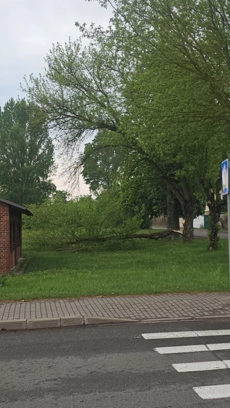 Последствия вчерашней бури