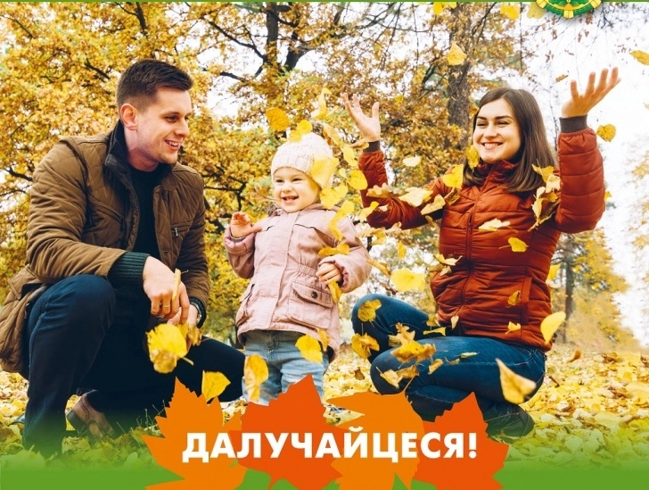 Акция «Чистый лес» пройдет в Беларуси 19 октября