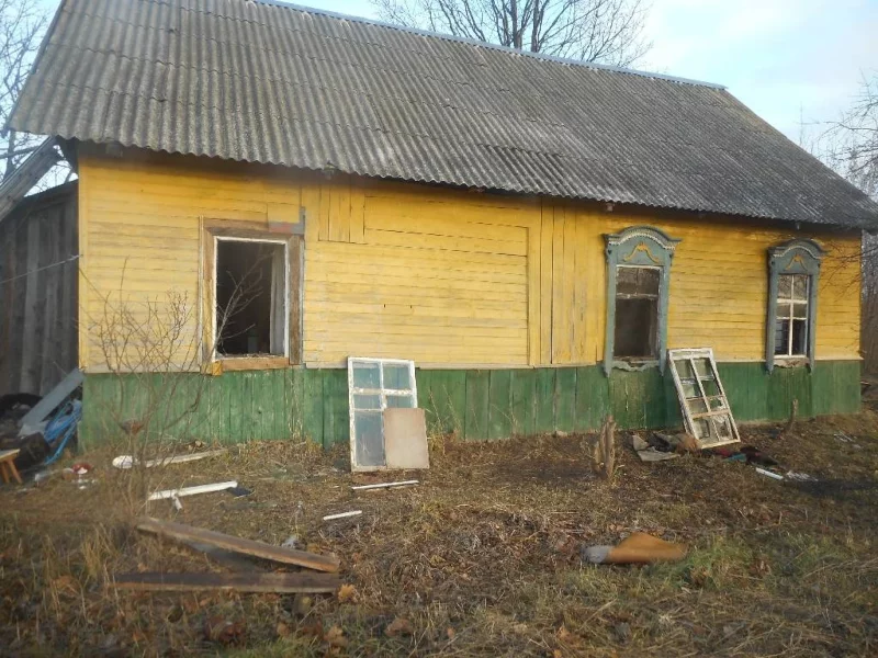 Пожар в деревне Большие Бортники