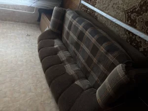 Отдам(самовывоз)