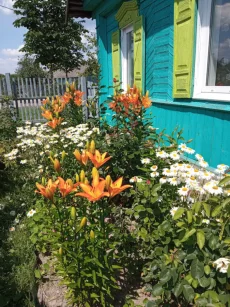 Дача, для отдыха и садоводства или для постоянного места жительства