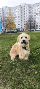 Особенный Джонни