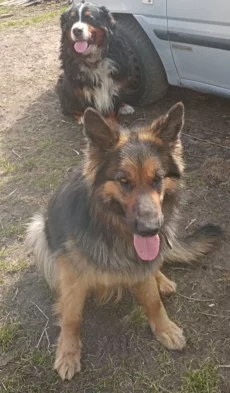 Щенков