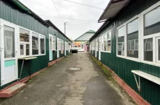 Повильонов на рынке Птичка. Бобруйск, ул. Дзержинского, 4