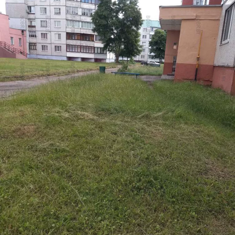Странный покос травы,вокруг дома покошено, перед двумя подъездами нет.