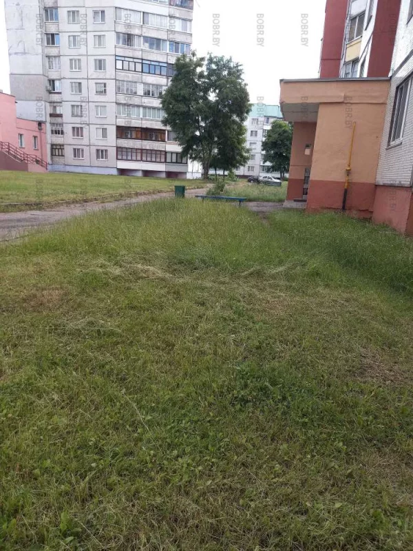 Странный покос травы,вокруг дома покошено, перед двумя подъездами нет.