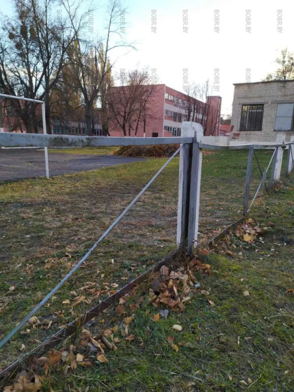 Школьный забор