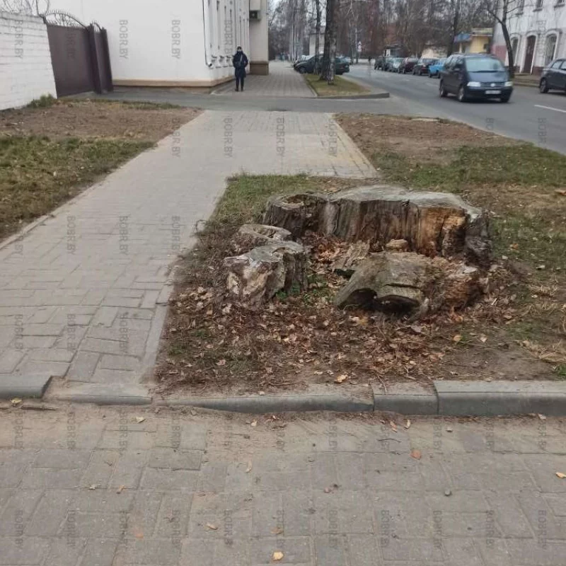 Классный тротуар, безопасный