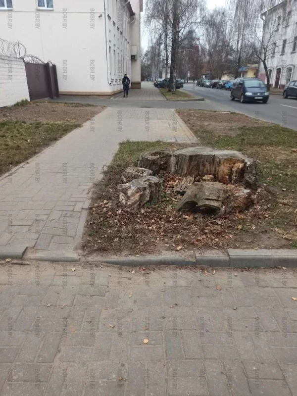 Классный тротуар, безопасный