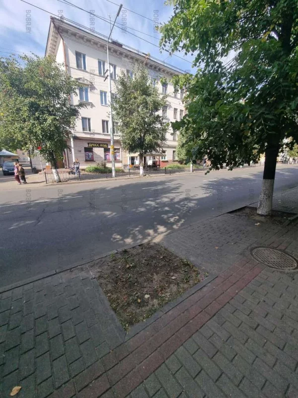 Клумба есть, а дерева нет! Недоработка зеленхоза.