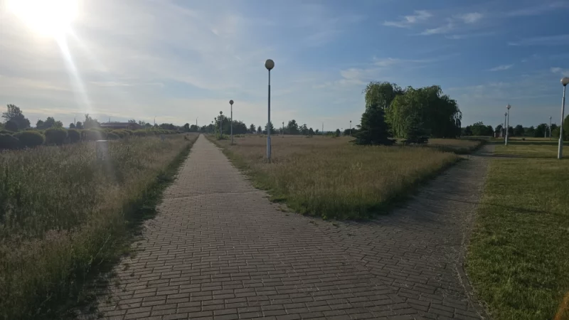 Сбоку от Арены начали косить, но в основном трава чуть ли не по пояс