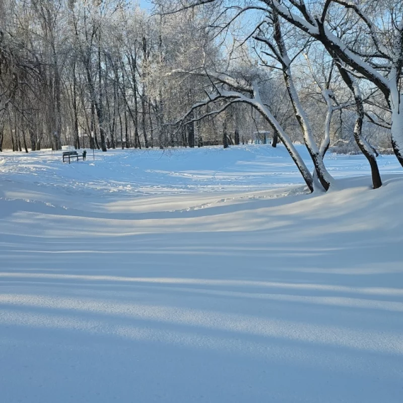 Каток в парке пока не распустили, а жаль, в прошлом году было здорово покататься