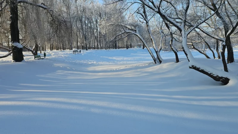 Каток в парке пока не распустили, а жаль, в прошлом году было здорово покататься