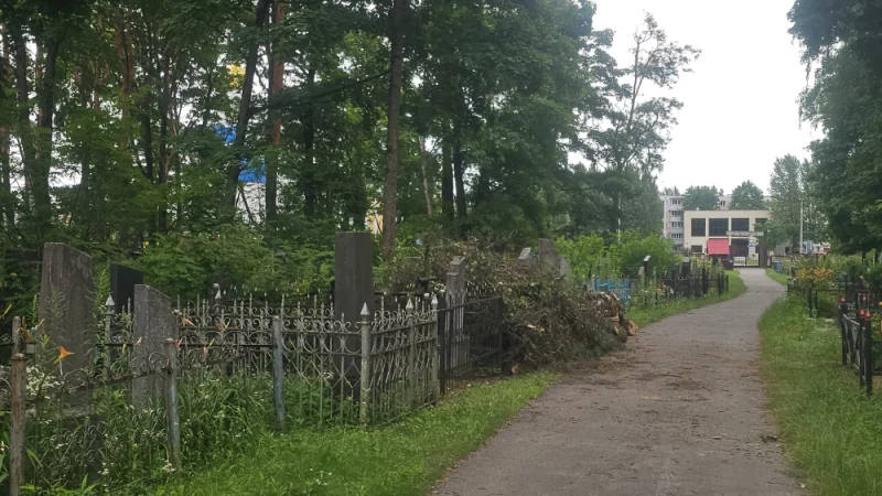 На Минском кладбище идёт уборка поваленных деревьев