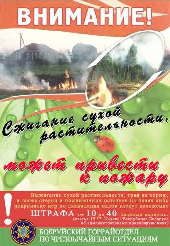 Первые жертвы палов