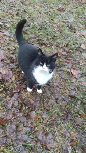 Нужна помощь