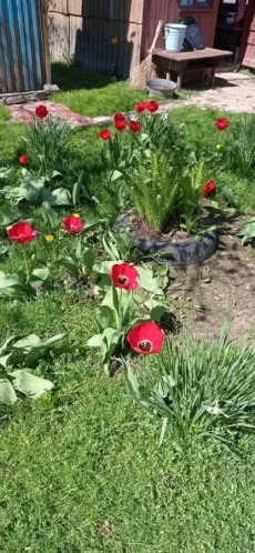 Дом с земельным участком