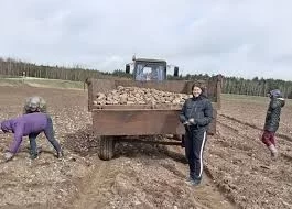 На подработку требуются люди