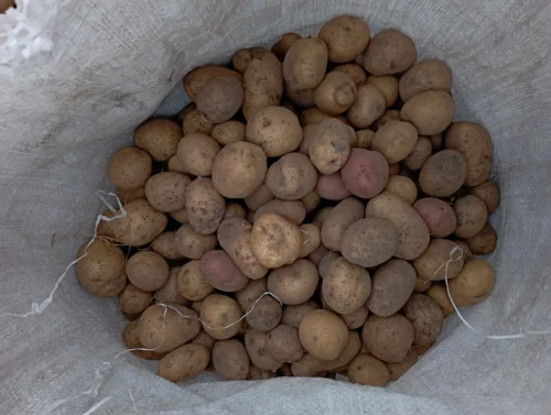 Картошка мелкая 15р/мешок