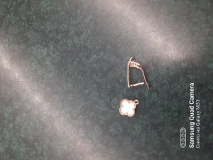 Кто потерял серёжку в короне с цветком обращайтесь в инфоцентр