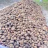 Картофель с доставкой