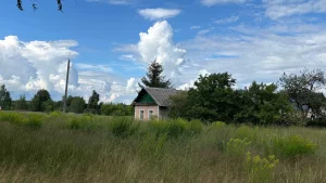 Участок с домом д.Дубовка