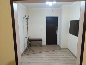 Однокомнатную квартиру