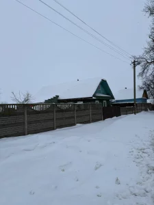 Дом в д.Малые Бортники