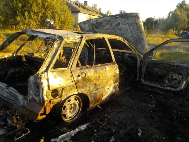 В Бобруйском районе горел автомобиль