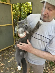 Кот мальчик найден