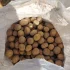 Картофель на корм