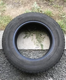 Покрышки грузолегковые 185/75/16с Belshina