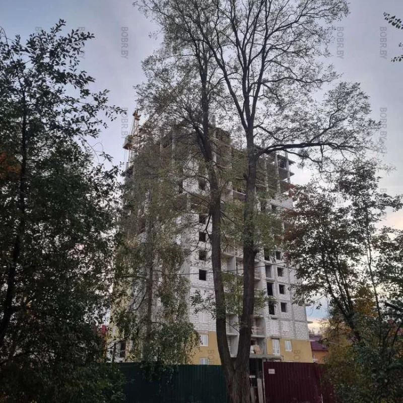 Фото Со стройки дома на перекрёстке улицы Октябрьской и Минская.
