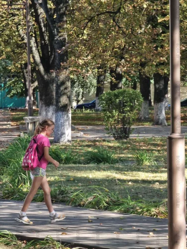 Дети собирают каштаны, А вы собираете каштаны?