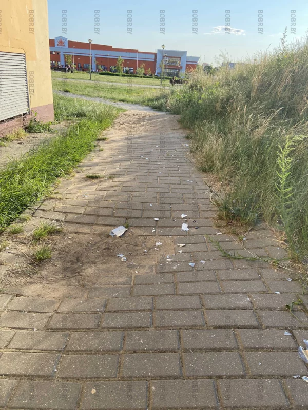 А тут ходят дети, в Молодёжном парке