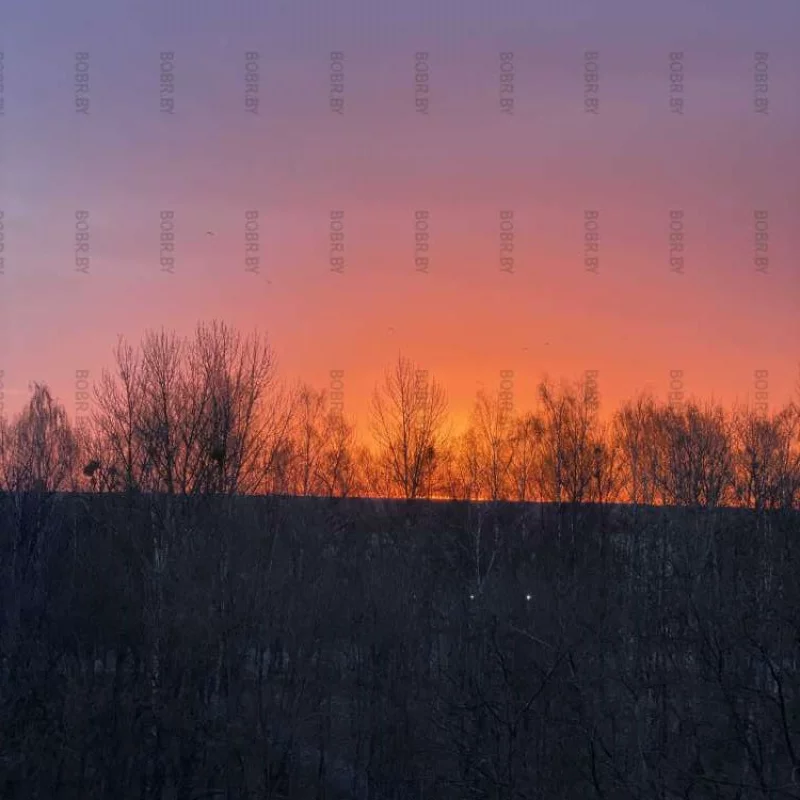 Доброе утро …..
