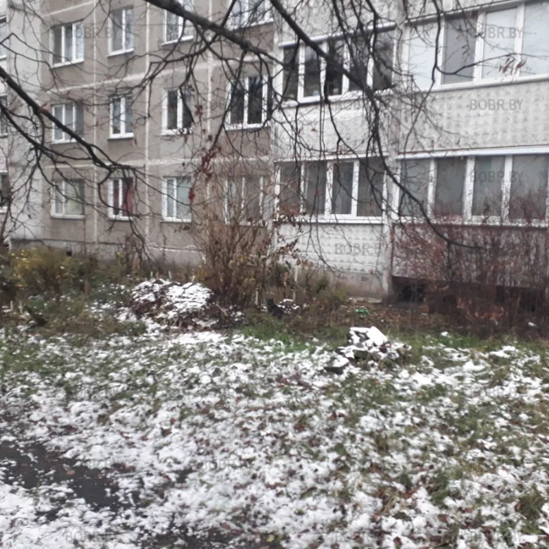 Сугробы мусора
