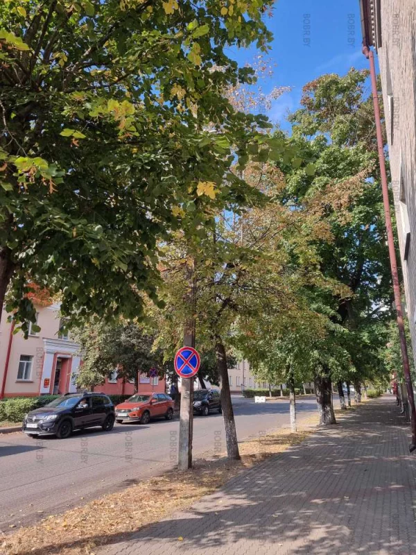 Осень в городе.