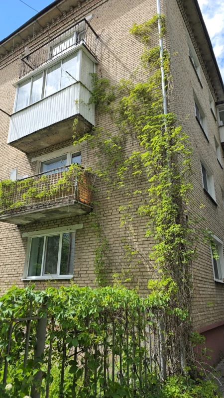 Очень красивый дом поросший зелёным диким виноградом на перекрёстке улицы Пролетарской и Пушкина