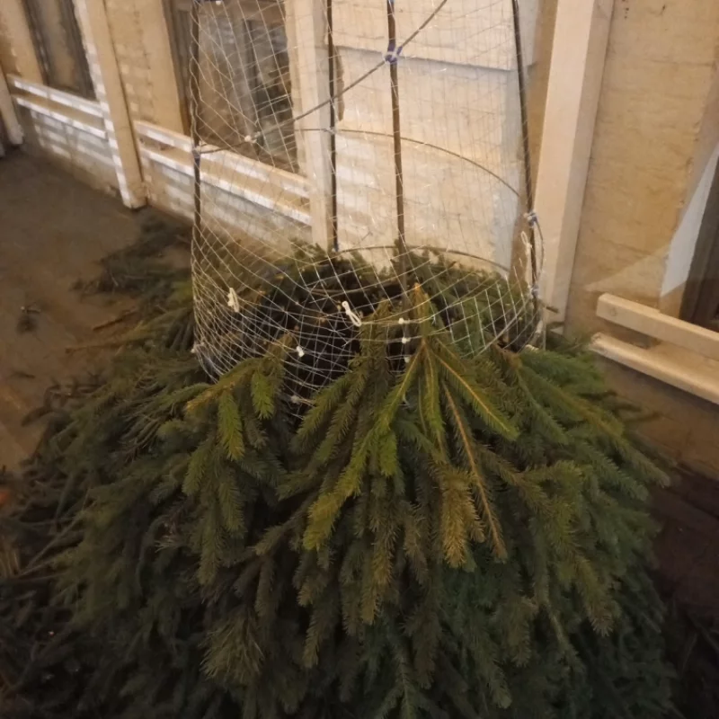 Технология проста