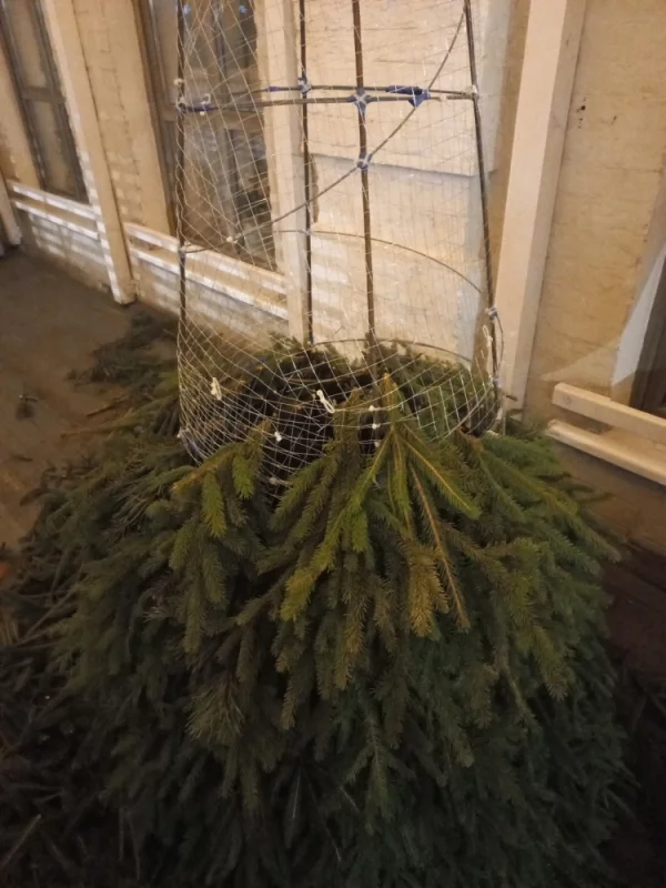 Технология проста