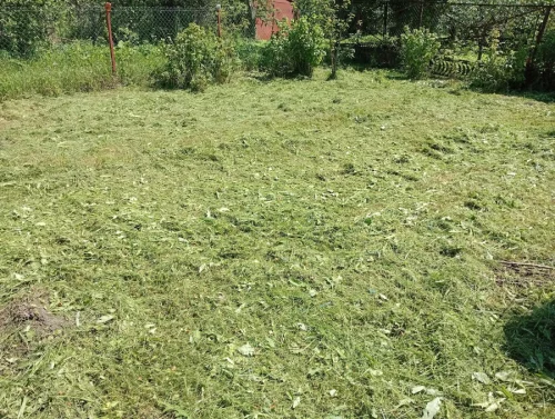Покос травы выезд на район