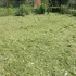Покос травы выезд на район