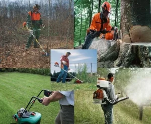 Расчистка участка