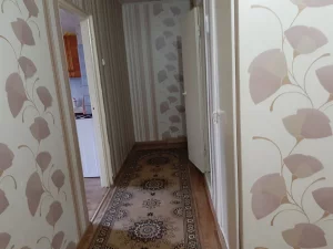 1 -ная квартира