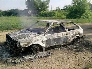Пожары за период с 7 по 13 июня 2010 года