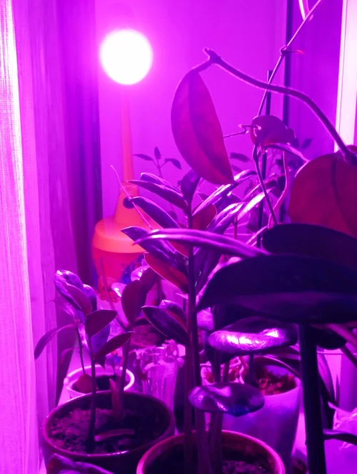 Фитолампы Е27 для растений