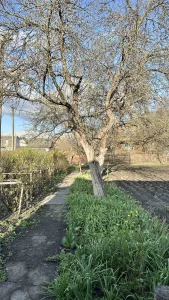 Дача в СТ «Радуга» 2км от Бобруйска