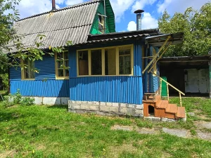 Дом в деревне Станция Ясень Осиповичский р-н